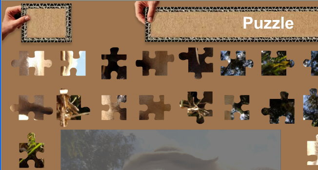 Puzzle